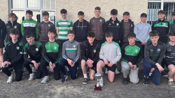 ☘️ Minor Presentation☘️