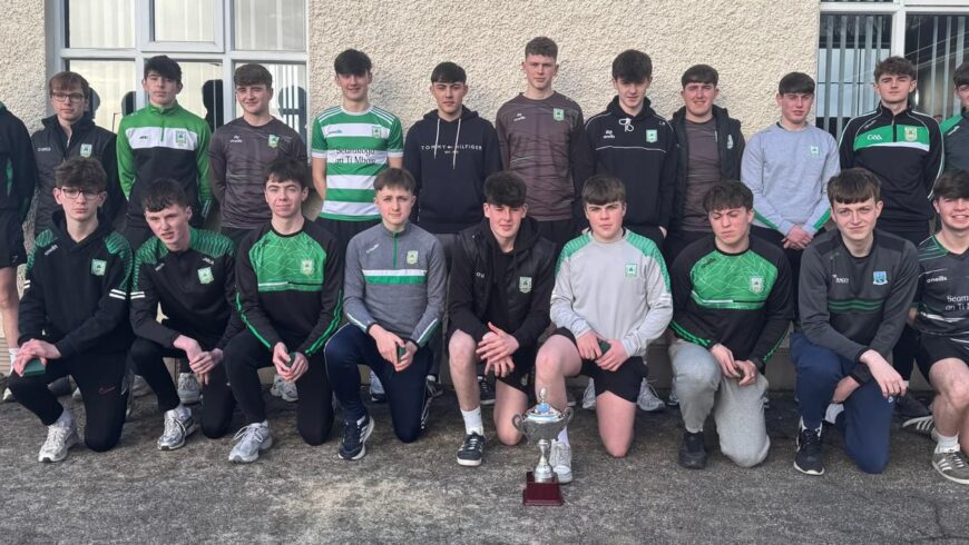 ☘️ Minor Presentation☘️