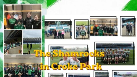 The Shamrocks Day in Croke Park